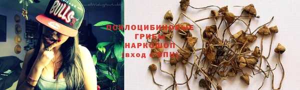 ALPHA PVP Алзамай