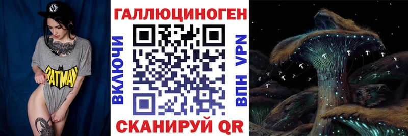 где можно купить   Берёзовский  Псилоцибиновые грибы Psilocybine cubensis 